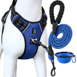 Combo Dog Harness Dog Belts